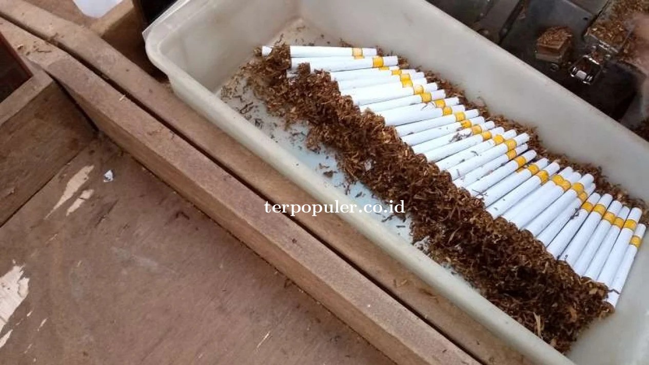 Gak Cuma Tembakau, Sekarang Ini Para Petani Cengkeh Ikutan Menolak Rancangan Bungkusan Rokok Yang Po